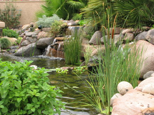  backyard  waterfeature