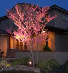 patio lighting  