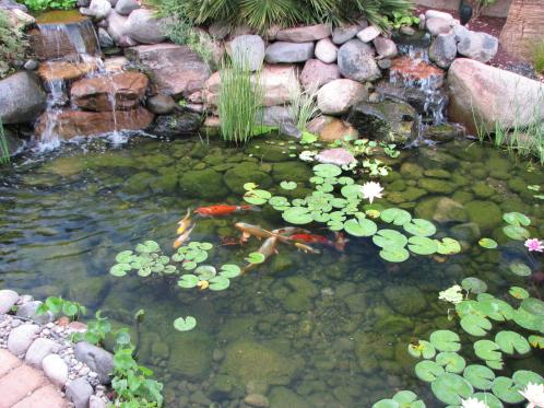 outside water feature